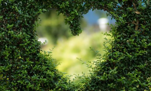 heart-1192662_1280